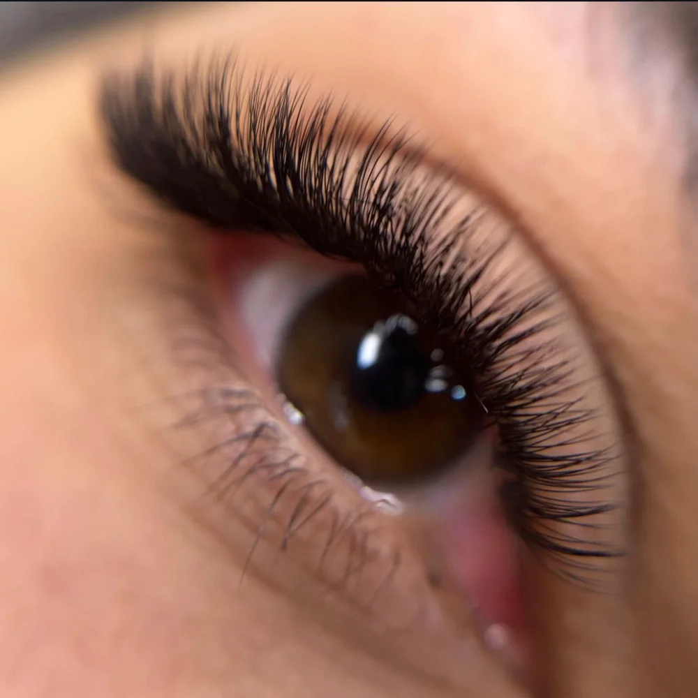 Lashes & brows